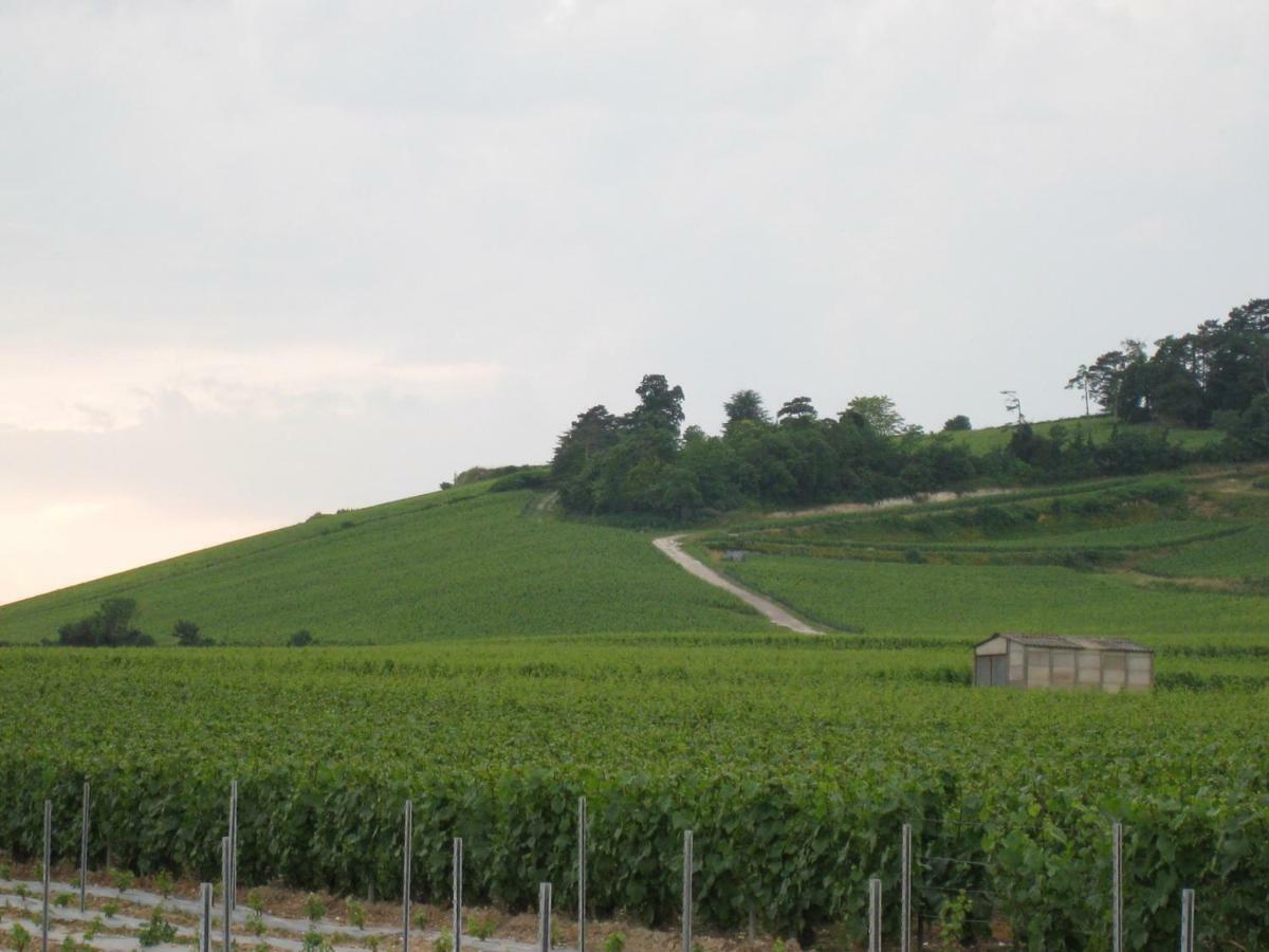 La Chambre D'Amis La Costignieres Montgueux Bagian luar foto